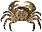Crustaceans
